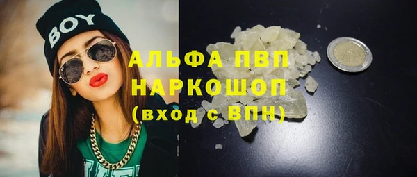 PSILOCYBIN Балахна