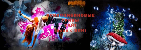 PSILOCYBIN Балахна