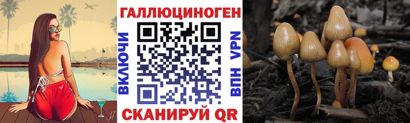 Галлюциногенные грибы GOLDEN TEACHER Купить Сосновка